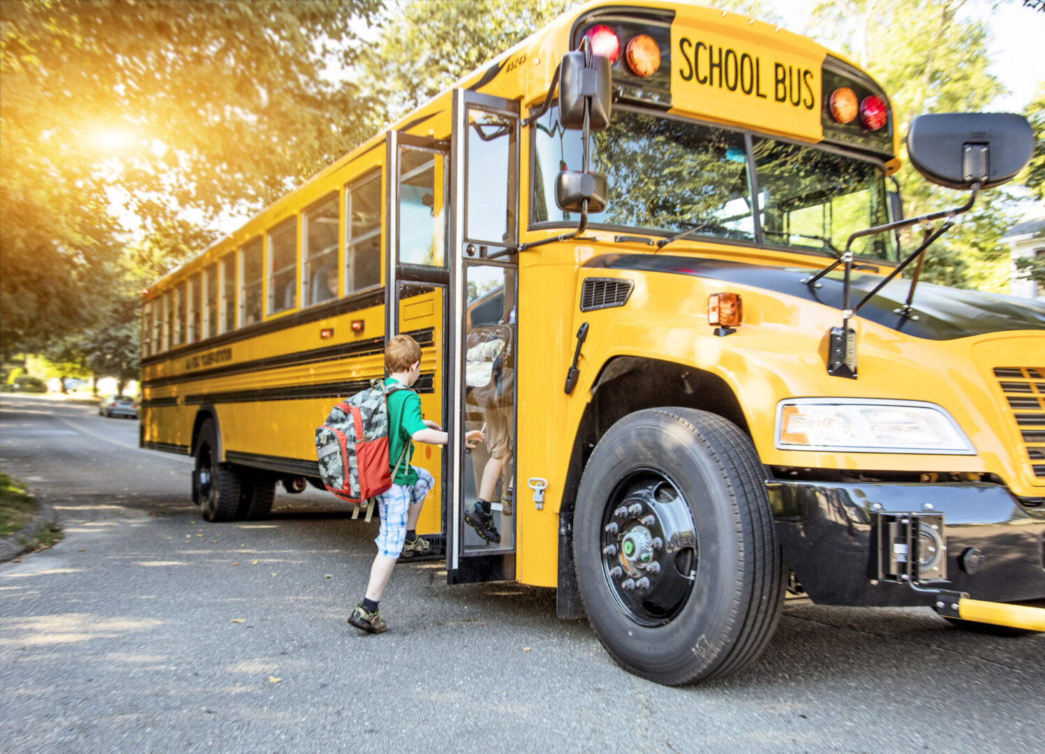 A,Group,Of,Young,Children,Getting,On,The,Schoolbus A,Group,Of,Young,Children,Getting,On,The,Schoolbus